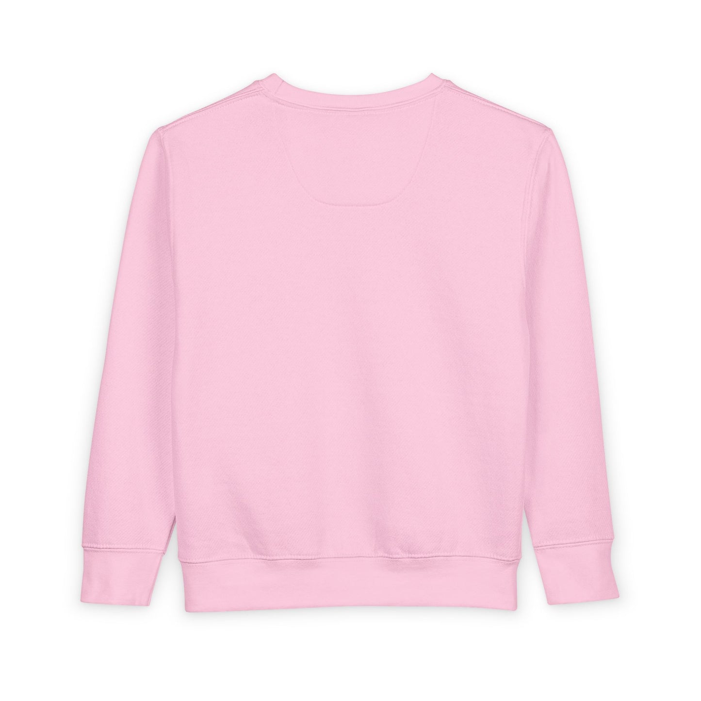 Toddler Sweatshirt - Ted The TurDucKen